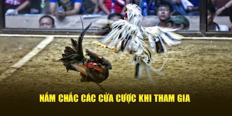 Nắm chắc các cửa cược khi tham gia