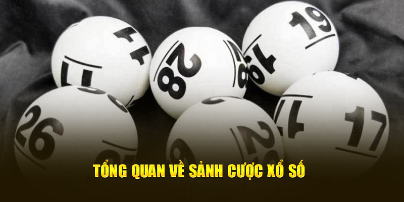 Tổng quan về sảnh cược xổ số