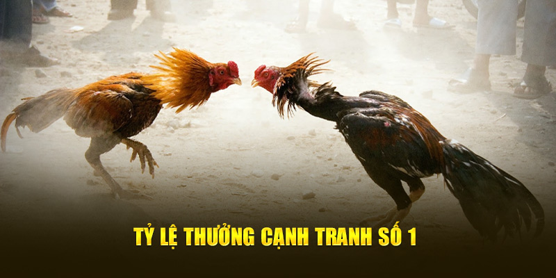 Tỷ lệ thưởng cạnh tranh số 1