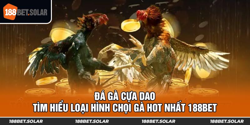 Đá Gà Cựa Dao: Tìm Hiểu Loại Hình Chọi Gà HOT Nhất 188Bet