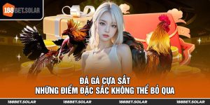 Đá Gà Cựa Sắt - Những Điểm Đặc Sắc Không Thể Bỏ Qua