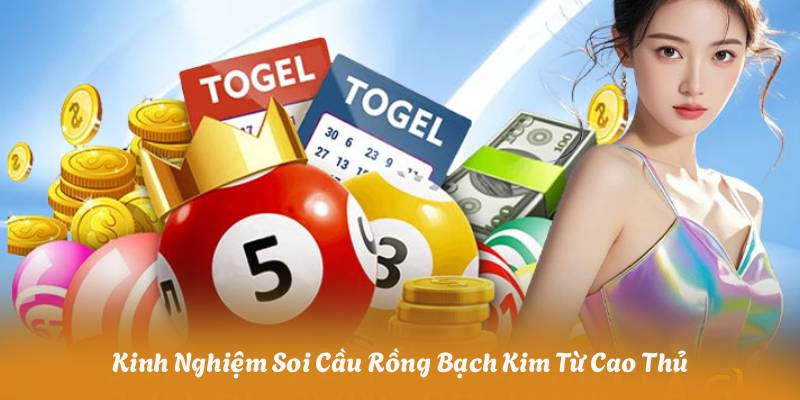 Kinh Nghiệm Soi Cầu Rồng Bạch Kim Từ Cao Thủ