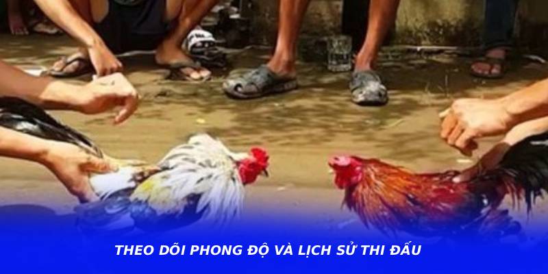 Theo dõi phong độ và lịch sử thi đấu